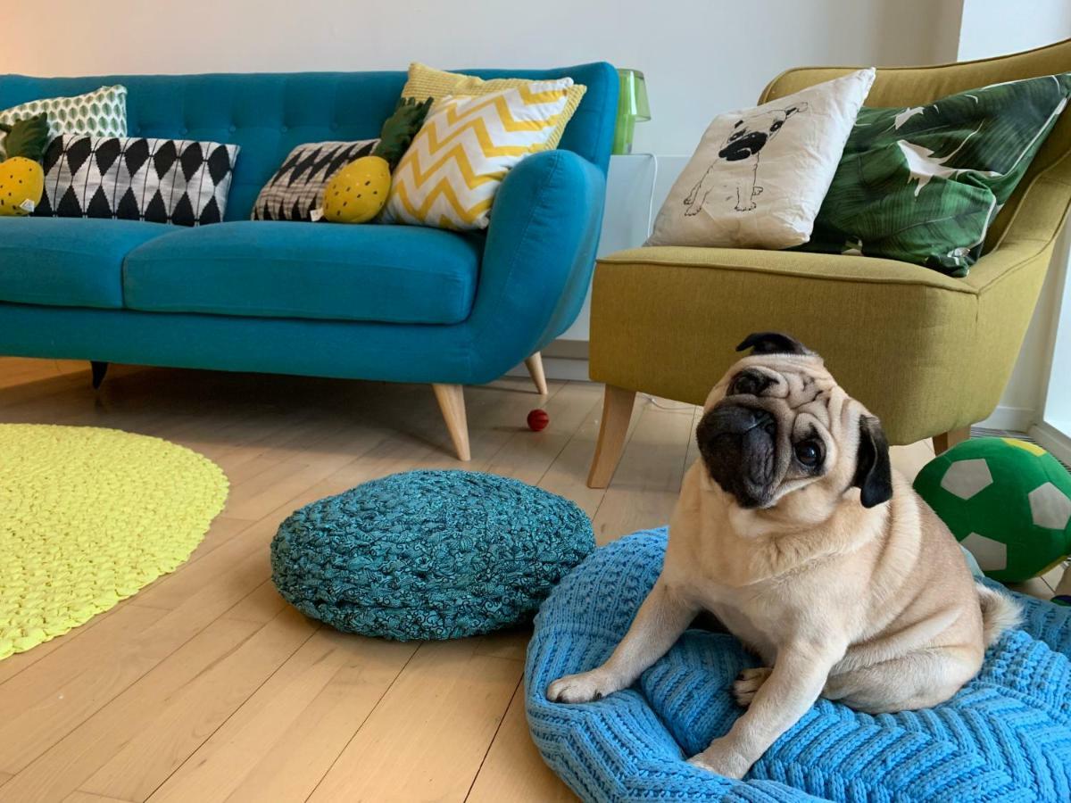 Cute Pug Guest Room كوبنهاجن المظهر الخارجي الصورة